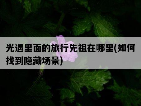 光遇里面的旅行先祖在哪里，如何找到隱藏場景-圖1