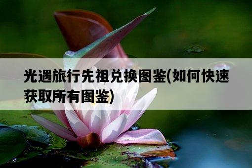 光遇旅行先祖兌換圖鑒，如何快速獲取所有圖鑒-圖1