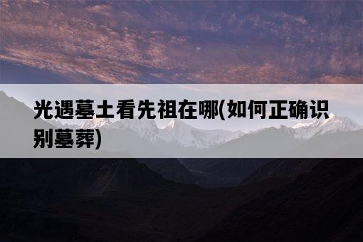 光遇墓土看先祖在哪，如何正確識別墓葬-圖1