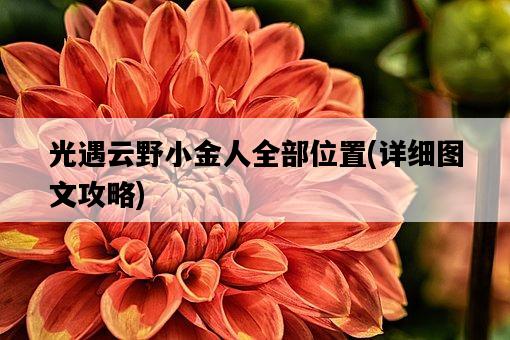 光遇云野小金人全部位置，詳細圖文攻略-圖1