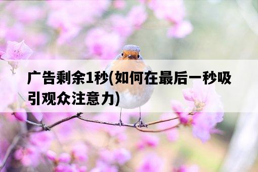 廣告剩余1秒,如何在最后一秒吸引觀眾注意力-圖1 廣告剩余1秒,如何在最后一秒吸引觀眾注意力-圖1