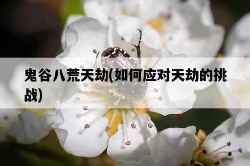 鬼谷八荒天劫，如何應對天劫的挑戰-圖1