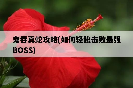 鬼吞真蛇攻略，如何輕松擊敗最強BOSS-圖1