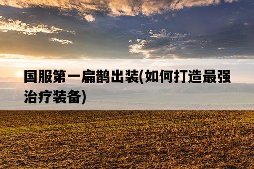 國服第一扁鵲出裝，如何打造最強治療裝備-圖1