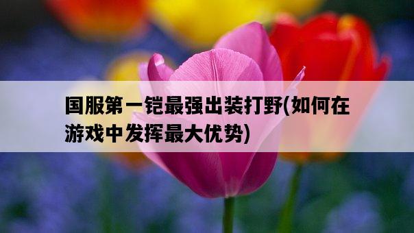 國服第一鎧最強出裝打野，如何在游戲中發揮最大優勢-圖1