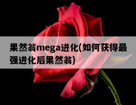 果然翁mega進化，如何獲得最強進化后果然翁-圖1