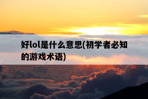好lol是什么意思，初學者必知的游戲術語-圖1