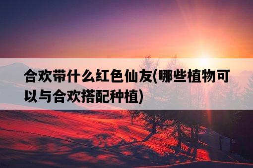 合歡帶什么紅色仙友，哪些植物可以與合歡搭配種植-圖1