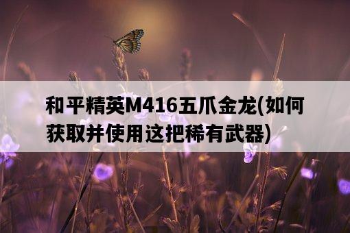 和平精英M416五爪金龍，如何獲取并使用這把稀有武器-圖1
