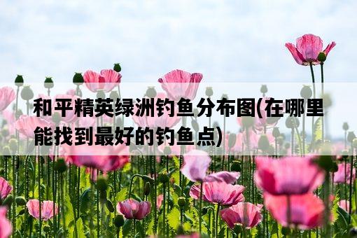 和平精英綠洲釣魚分布圖，在哪里能找到最好的釣魚點-圖1