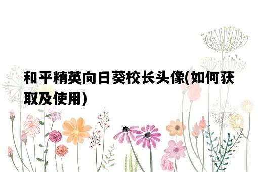 和平精英向日葵校長頭像，如何獲取及使用-圖1