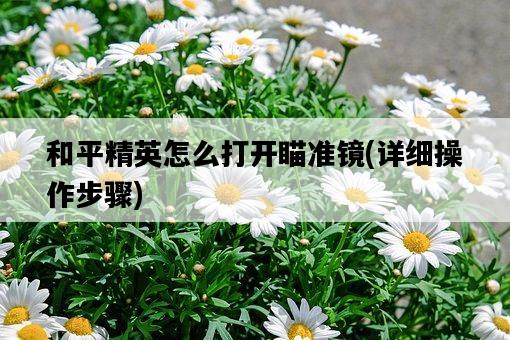 和平精英怎么打開瞄準鏡，詳細操作步驟-圖1