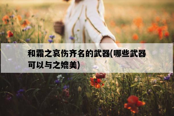 和霜之哀傷齊名的武器，哪些武器可以與之媲美-圖1