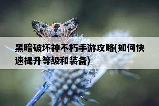 黑暗破壞神不朽手游攻略，如何快速提升等級和裝備-圖1