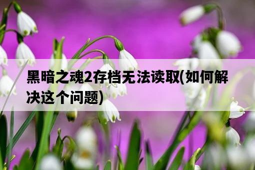 黑暗之魂2存檔無法讀取,如何解決這個問題-圖1 黑暗之魂2存檔無法讀取,如何解決這個問題-圖1