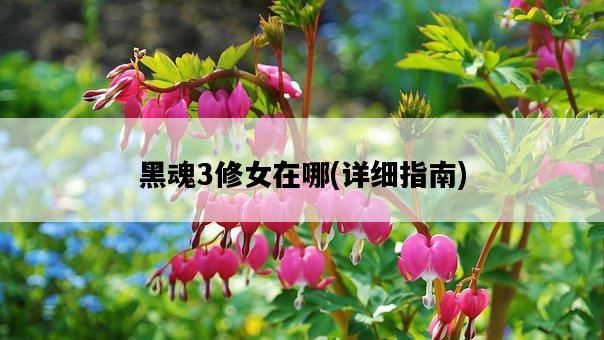 黑魂3修女在哪,詳細指南-圖1 黑魂3修女在哪,詳細指南-圖1