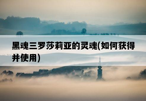 黑魂三羅莎莉亞的靈魂，如何獲得并使用-圖1