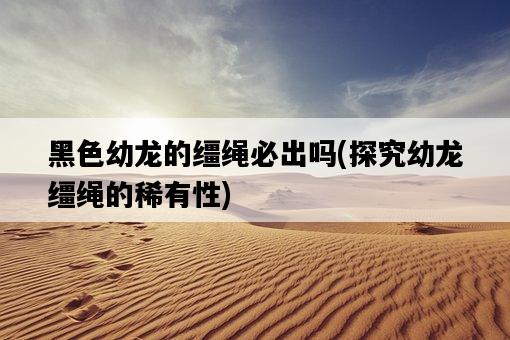 黑色幼龍的韁繩必出嗎，探究幼龍韁繩的稀有性-圖1