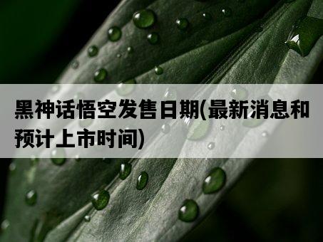 黑神話悟空發售日期，最新消息和預計上市時間-圖1
