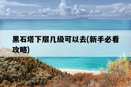 黑石塔下層幾級可以去，新手必看攻略-圖1