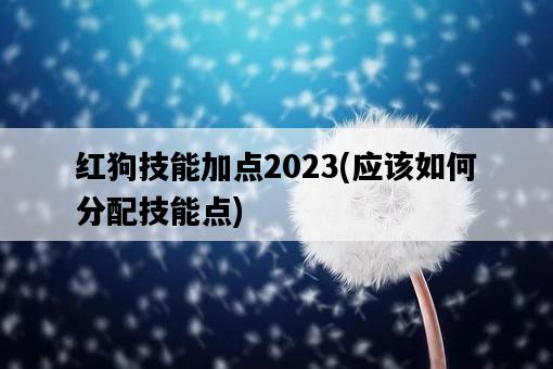 紅狗技能加點2023，應該如何分配技能點-圖1