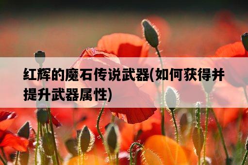 紅輝的魔石傳說武器，如何獲得并提升武器屬性-圖1