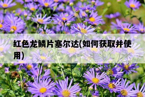 紅色龍鱗片塞爾達，如何獲取并使用-圖1