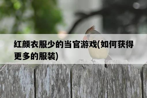 紅顏衣服少的當官游戲,如何獲得更多的服裝-圖1 紅顏衣服少的當官游戲,如何獲得更多的服裝-圖1
