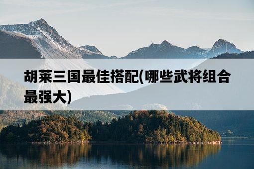 胡萊三國最佳搭配，哪些武將組合最強大-圖1