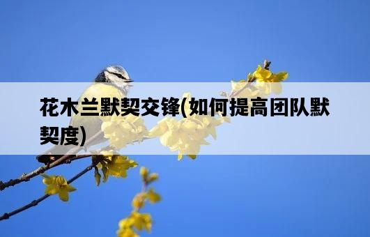花木蘭默契交鋒，如何提高團隊默契度-圖1