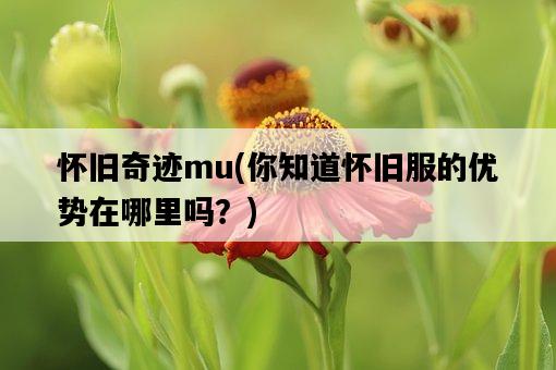 懷舊奇跡mu，你知道懷舊服的優勢在哪里嗎？-圖1