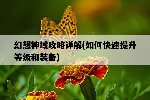 幻想神域攻略詳解，如何快速提升等級和裝備-圖1