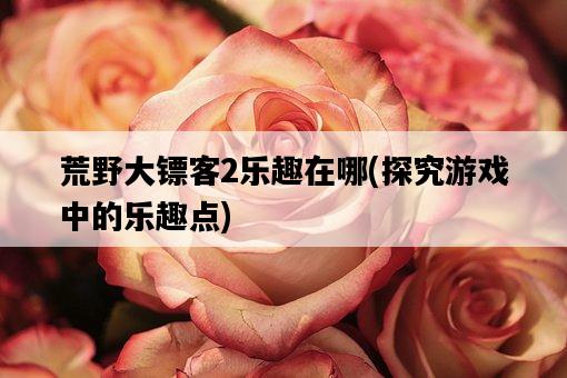 荒野大鏢客2樂趣在哪，探究游戲中的樂趣點-圖1