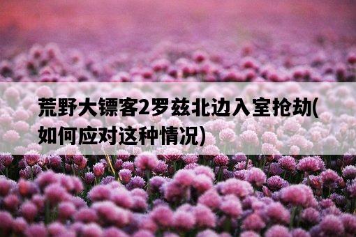 荒野大鏢客2羅茲北邊入室搶劫，如何應對這種情況-圖1