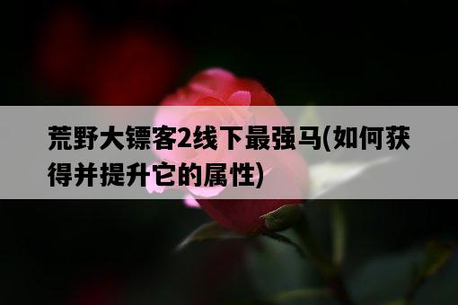 荒野大鏢客2線下最強馬，如何獲得并提升它的屬性-圖1
