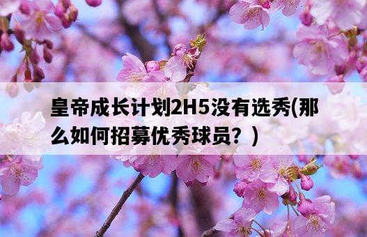 皇帝成長計劃2H5沒有選秀，那么如何招募優秀球員？-圖1