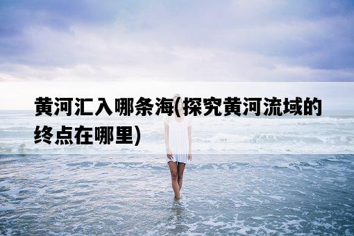 黃河匯入哪條海，探究黃河流域的終點在哪里-圖1