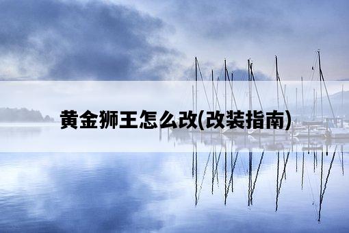 黃金獅王怎么改，改裝指南-圖1