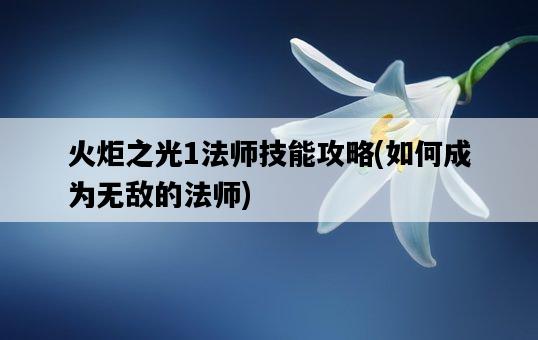 火炬之光1法師技能攻略，如何成為無敵的法師-圖1