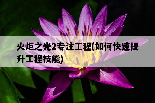 火炬之光2專注工程，如何快速提升工程技能-圖1