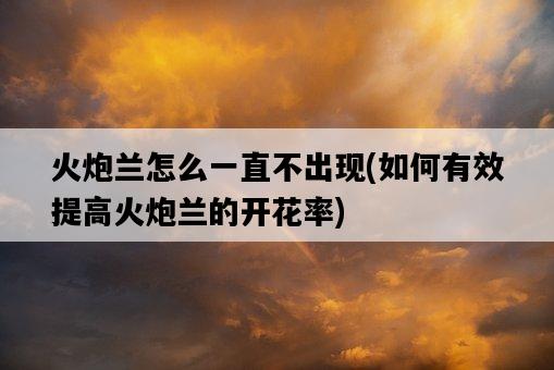 火炮蘭怎么一直不出現，如何有效提高火炮蘭的開花率-圖1