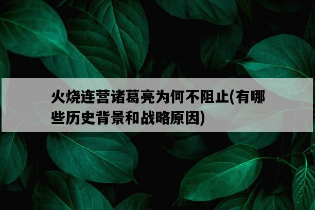 火燒連營諸葛亮為何不阻止，有哪些歷史背景和戰略原因-圖1