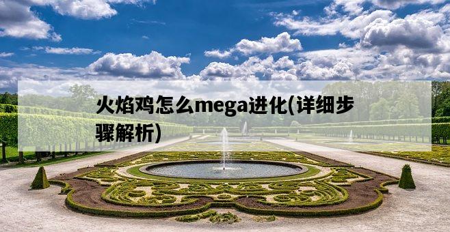 火焰雞怎么mega進化，詳細步驟解析-圖1