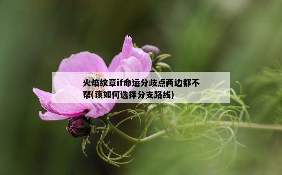 火焰紋章if命運分歧點兩邊都不幫，該如何選擇分支路線-圖1
