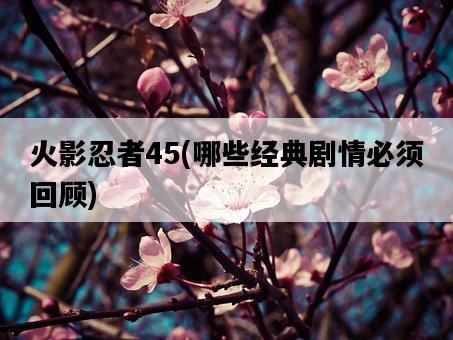 火影忍者45，哪些經典劇情必須回顧-圖1