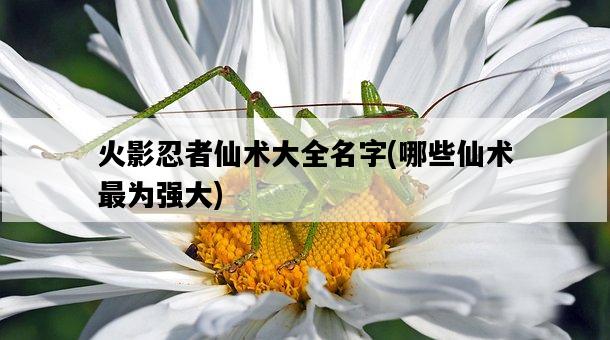 火影忍者仙術大全名字，哪些仙術最為強大-圖1