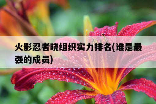 火影忍者曉組織實力排名，誰是最強的成員-圖1