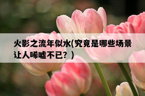 火影之流年似水，究竟是哪些場景讓人唏噓不已？-圖1