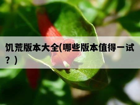 饑荒版本大全，哪些版本值得一試？-圖1