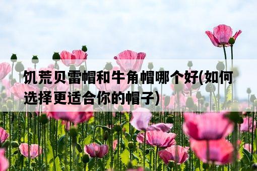 饑荒貝雷帽和牛角帽哪個好，如何選擇更適合你的帽子-圖1